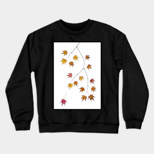 Acer Leaf Collage Crewneck Sweatshirt